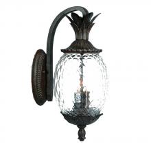 Acclaim Lighting 7512BC - Lanai Collection Wall-Mount 3-Light Outdoor Black Coral Light Fixture