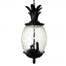 Acclaim Lighting 7516BC - Lanai Collection Hanging Lantern 3-Light Outdoor Black Coral Light Fixture