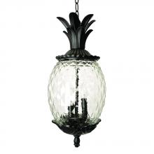 Acclaim Lighting 7516BK - Lanai Collection Hanging Lantern 3-Light Outdoor Matte Black Light Fixture