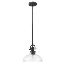 Acclaim Lighting IN21147BK - Virginia 1-Light Matte Black Pendant With Clear Glass Shade