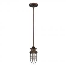 Acclaim Lighting IN21149ORB - Virginia Indoor 1-Light Mini Pendant W/Metal Cage In Oil Rubbed Bronze