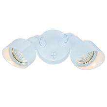 Acclaim Lighting LFL2WH - LED Floodlights Collection 2-Light Outdoor White Light Fixture
