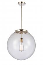 Innovations Lighting 221-1S-PN-G202-16-LED - Beacon - 1 Light - 16 inch - Polished Nickel - Stem Hung - Pendant