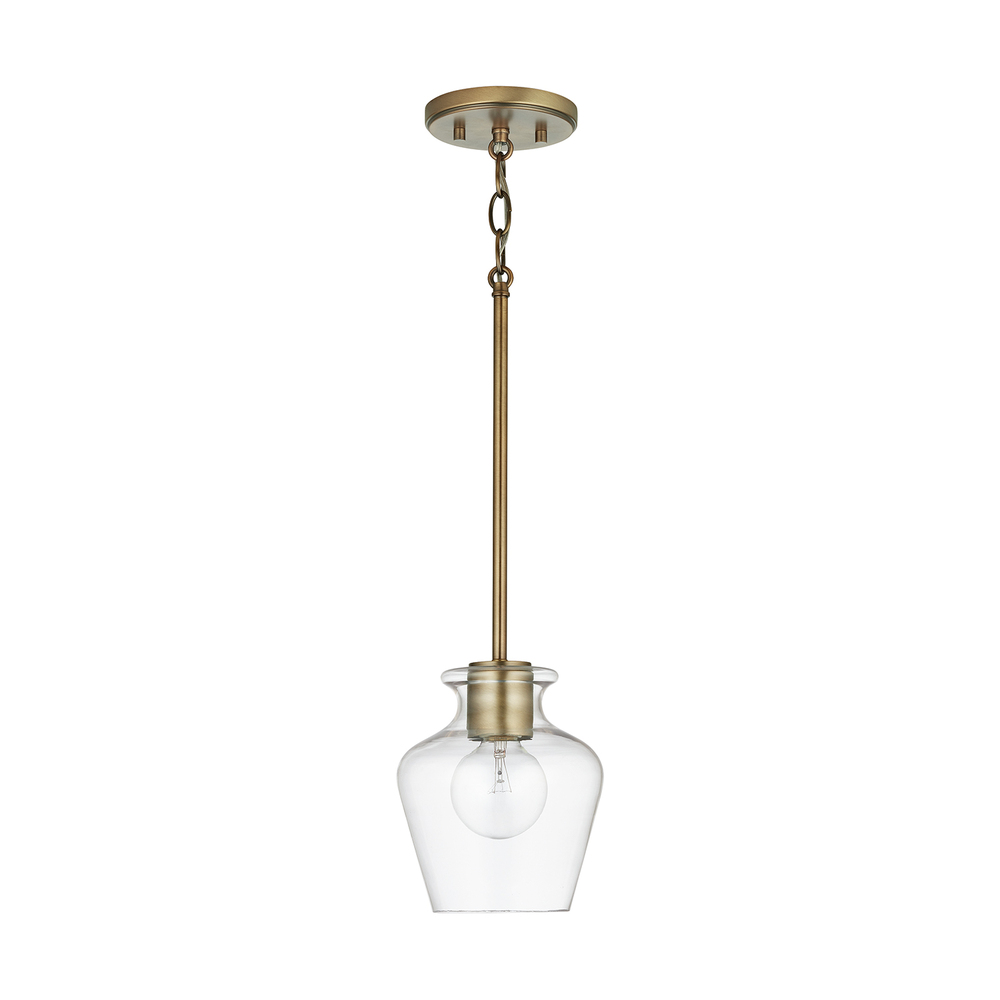 1 Light Pendant