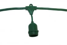 American Lighting LS-MS-24-48-GR - Green 48-Foot Suspended Medium Base String Light