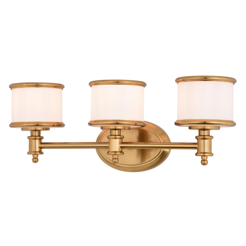 Carlisle 22-in. W 3 Light Vanity Natural Brass