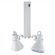 Jesco HMH914P3870-S - Two-Light Metal Halide Track Head