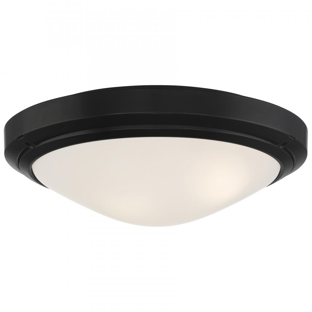 Outdoor LED Flush Mount