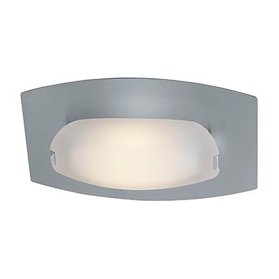 1 Light Wall Sconce or Flushmount