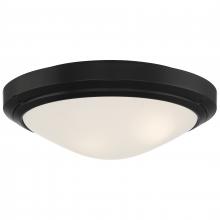 Access 20356LEDDMGLP-MBL/FST - Outdoor LED Flush Mount