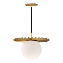 Alora Lighting PD501214BGOP - Plume Pendant