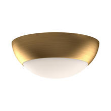Alora Lighting FM522211AGOP - Rubio Flush Mount