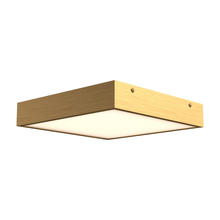 Alora Lighting FM553014AG - Sydney Flush Mount