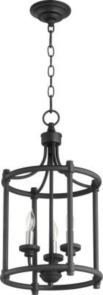 MED 3LT CAGE ENTRY - NR