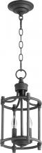 Quorum 6922-2-69 - SM 2LT CAGE ENTRY - TXB