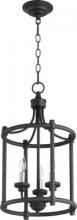 Quorum 6922-3-69 - MED 3LT CAGE ENTRY - NR