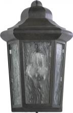 Quorum 7932-25 - 1LT FLUSH WL/LANT - TG