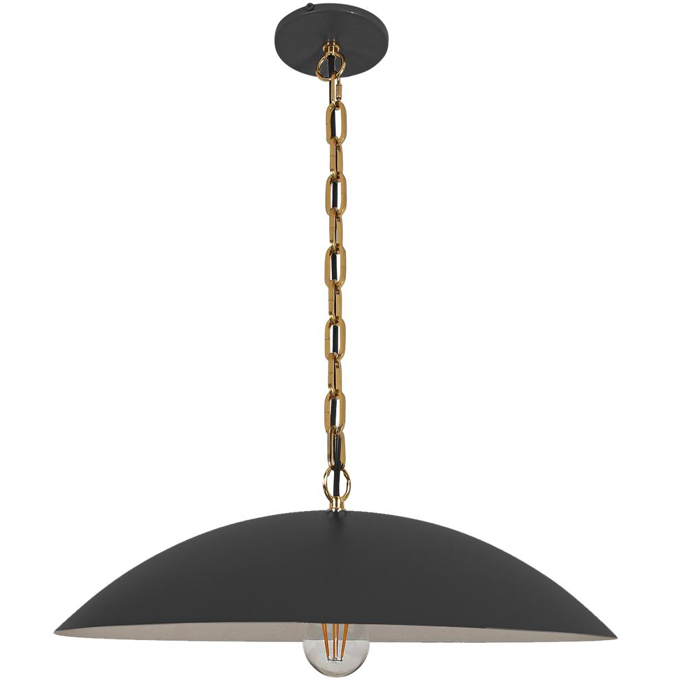 1 Light Pendant in Matte Black w/ Aged Brass Chain