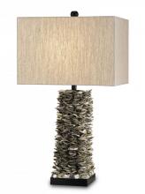 Currey 6862 - Villamare Table Lamp